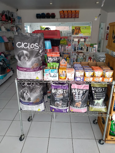 Rua Luiz Francisco Cedrim, 46 - Mangabeiras, Maceió - AL, 57037-530, Brasil