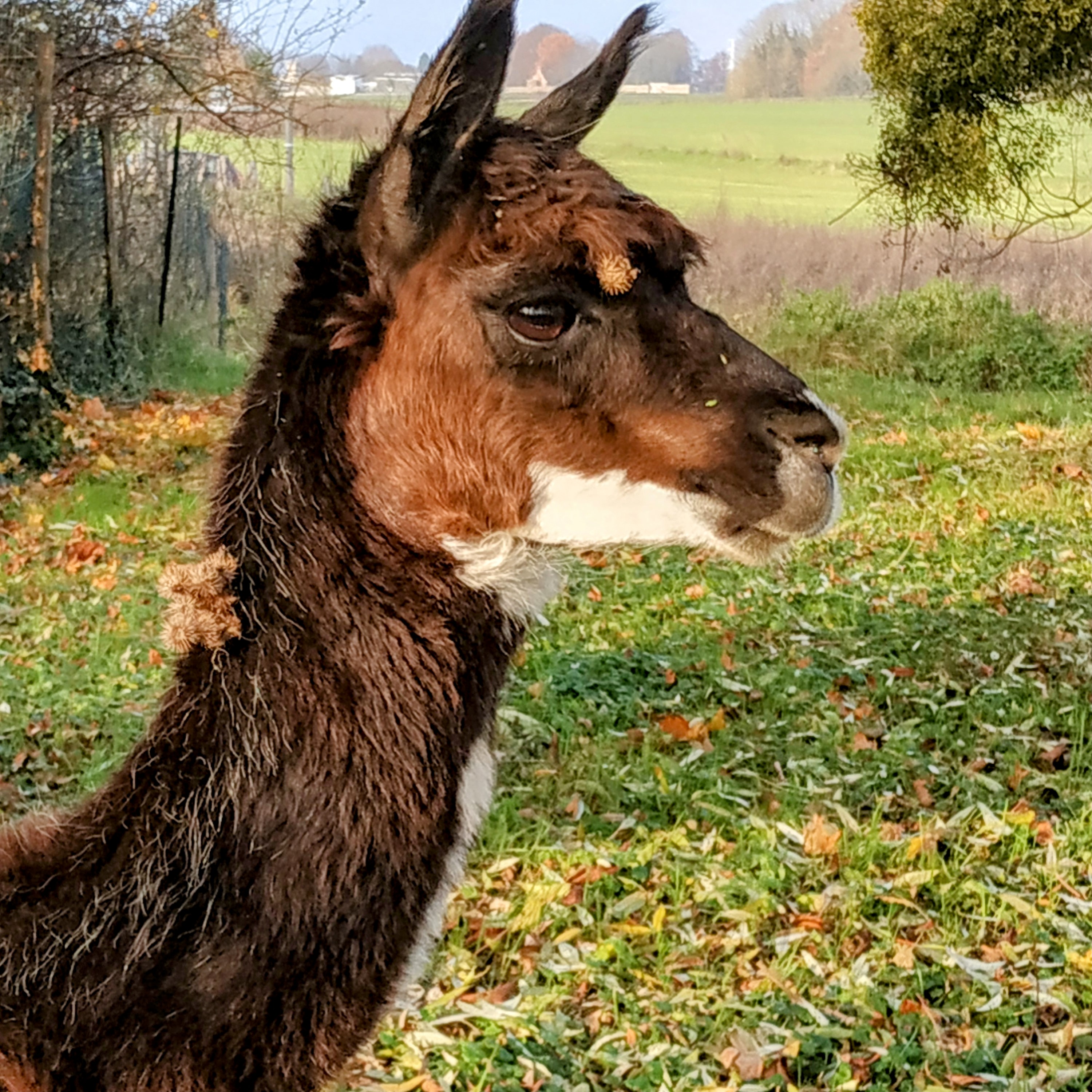 Photo n° 14 de l'avis de The.a fait le 12/12/2022 à 16:29