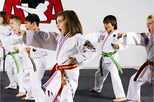 Denham Springs ATA Martial Arts image