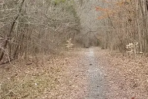 Carolina Thread Trail-Rocky Creek Trail image