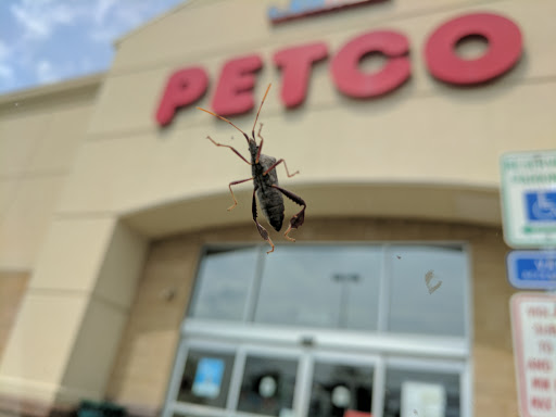 Pet Supply Store «Petco Animal Supplies», reviews and photos, 240 Upland Square Dr, Stowe, PA 19464, USA