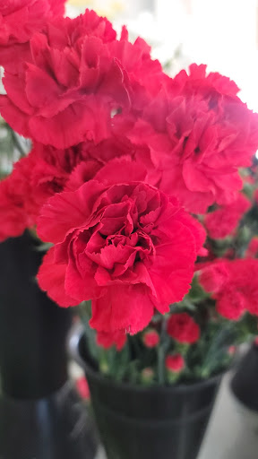 Florist «Expressions Florist», reviews and photos, 1190 E Imperial Hwy, Placentia, CA 92870, USA