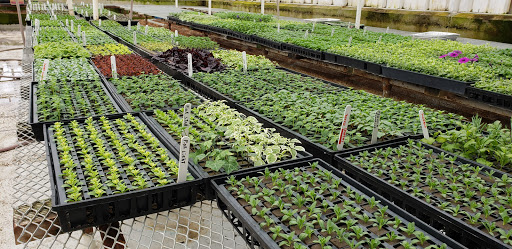 Florist «Fort Thomas Florists & Ghses.», reviews and photos, 63 S Grand Ave, Fort Thomas, KY 41075, USA