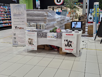 Les Petits compagnons d'Oméga à Voulmentin