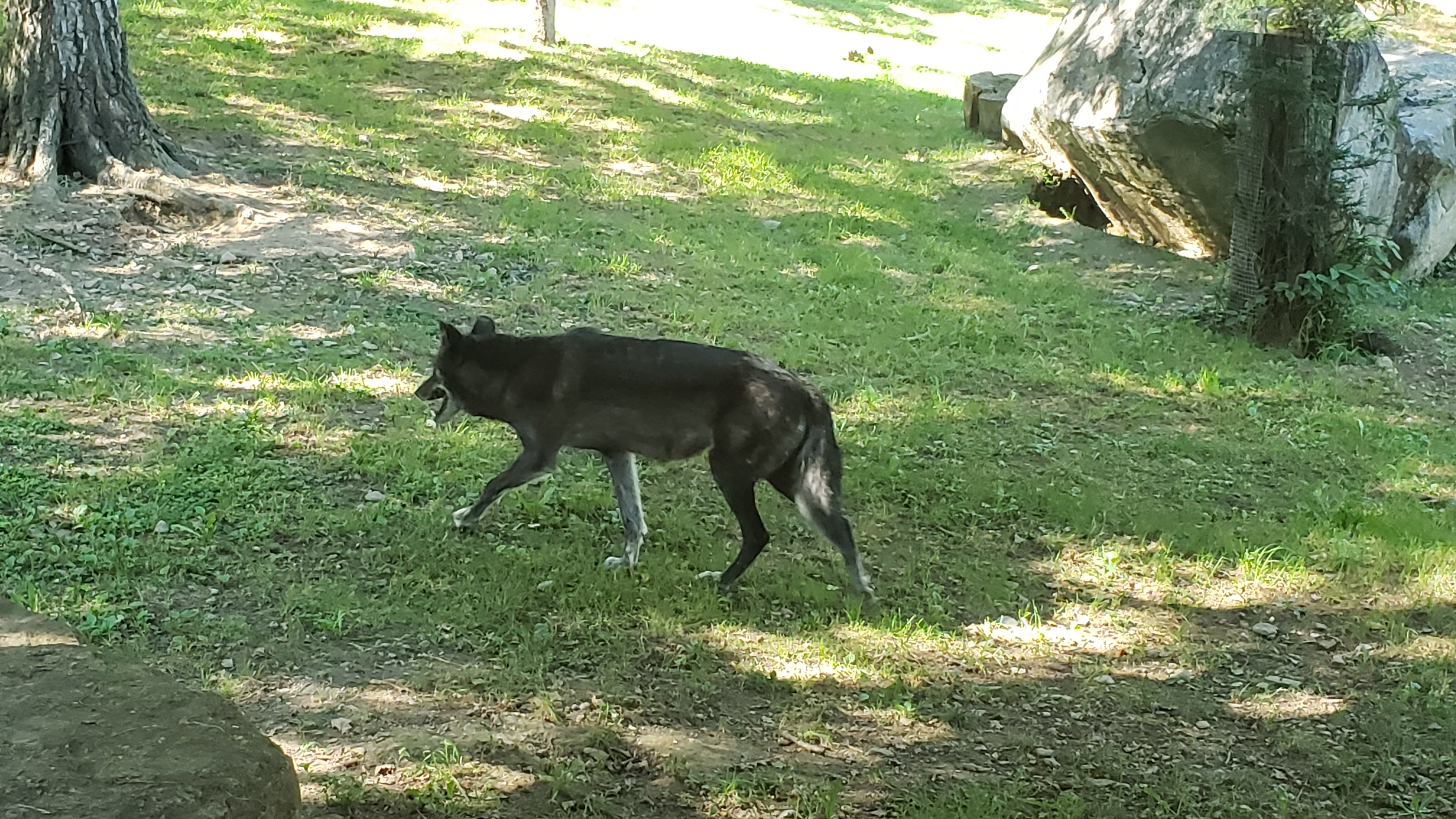 Photo n° 18 de l'avis de Cris.9 fait le 05/10/2023 à 13:30