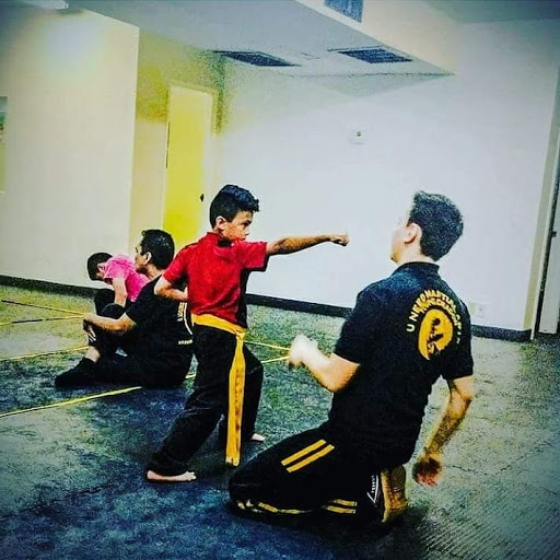 Kung fu lessons Phoenix
