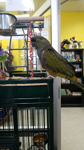 Pet Supply Store «Mellisa’s PET DEPOT», reviews and photos, 83 Faunce Corner Mall Rd, Dartmouth, MA 02747, USA