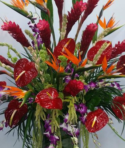 Florist «Mayfield Florist», reviews and photos, 1610 N Tucson Blvd, Tucson, AZ 85716, USA