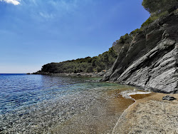 Foto di Platja Cala Murtra - luogo popolare tra gli intenditori del relax