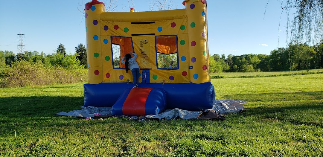 Competitive Tree Service