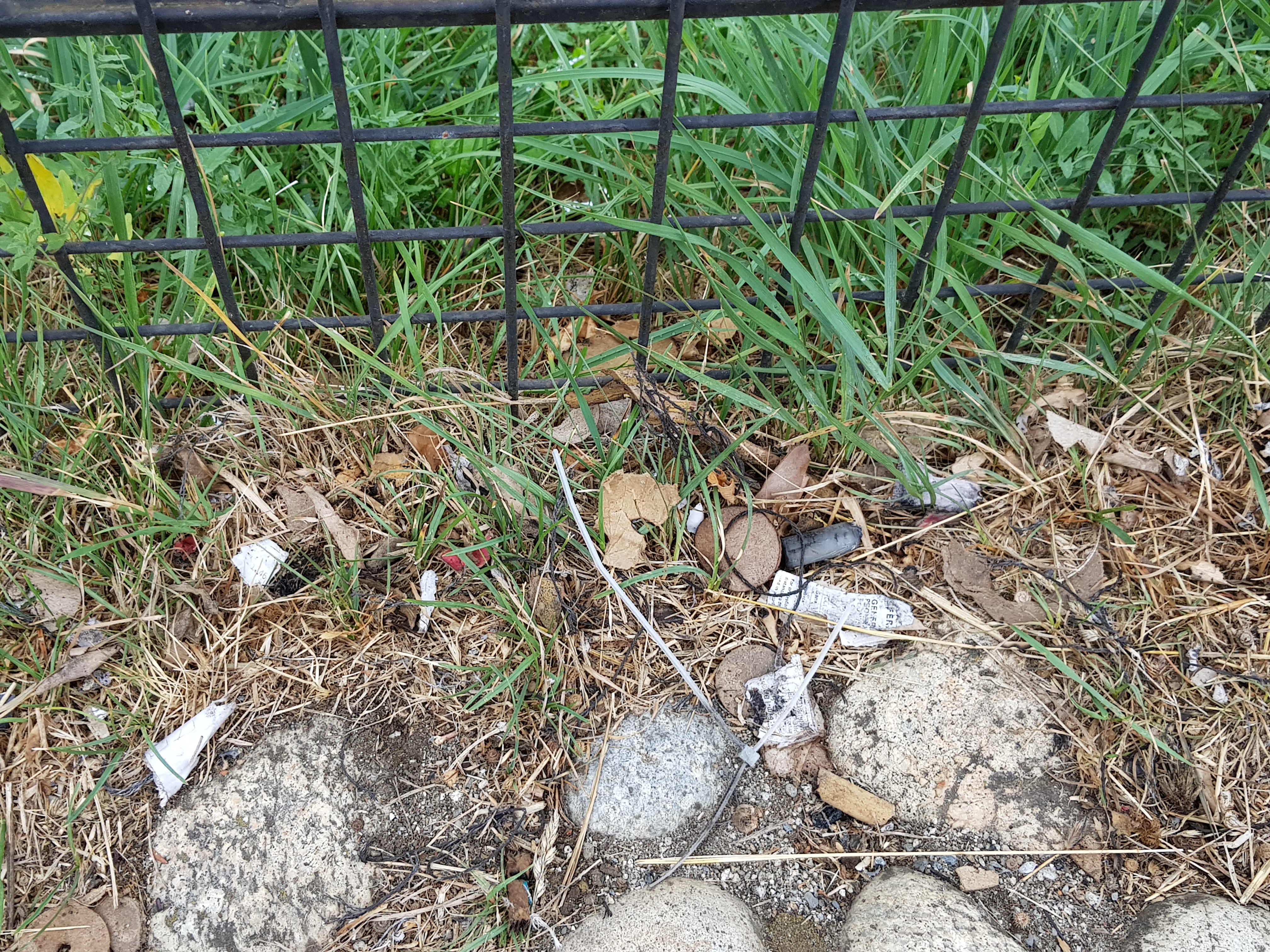 Photo n° 5 de l'avis de Maxence.u fait le 12/08/2019 à 16:47