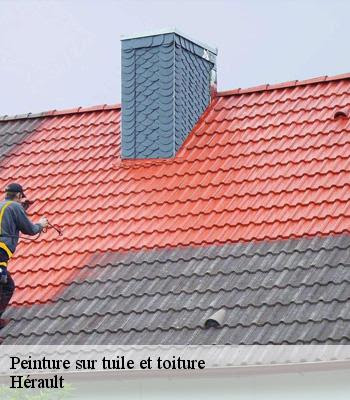 WORK RENOV TCE : artisan nettoyage de toiture 34 à Saint Jean De Vedas pour réparation de toiture, recherche de fuite toiture et peinture extérieure à Saint-Jean-de-Védas