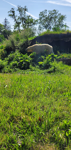 Zoo «Arctic Ring of Life», reviews and photos, 8450 W 10 Mile Rd, Royal Oak, MI 48067, USA