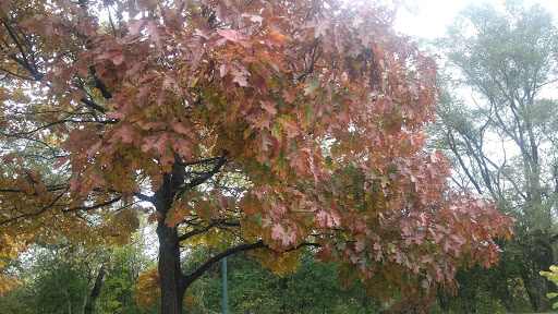 Park «Route 66 Park», reviews and photos, 920 N Broadway St, Joliet, IL 60435, USA