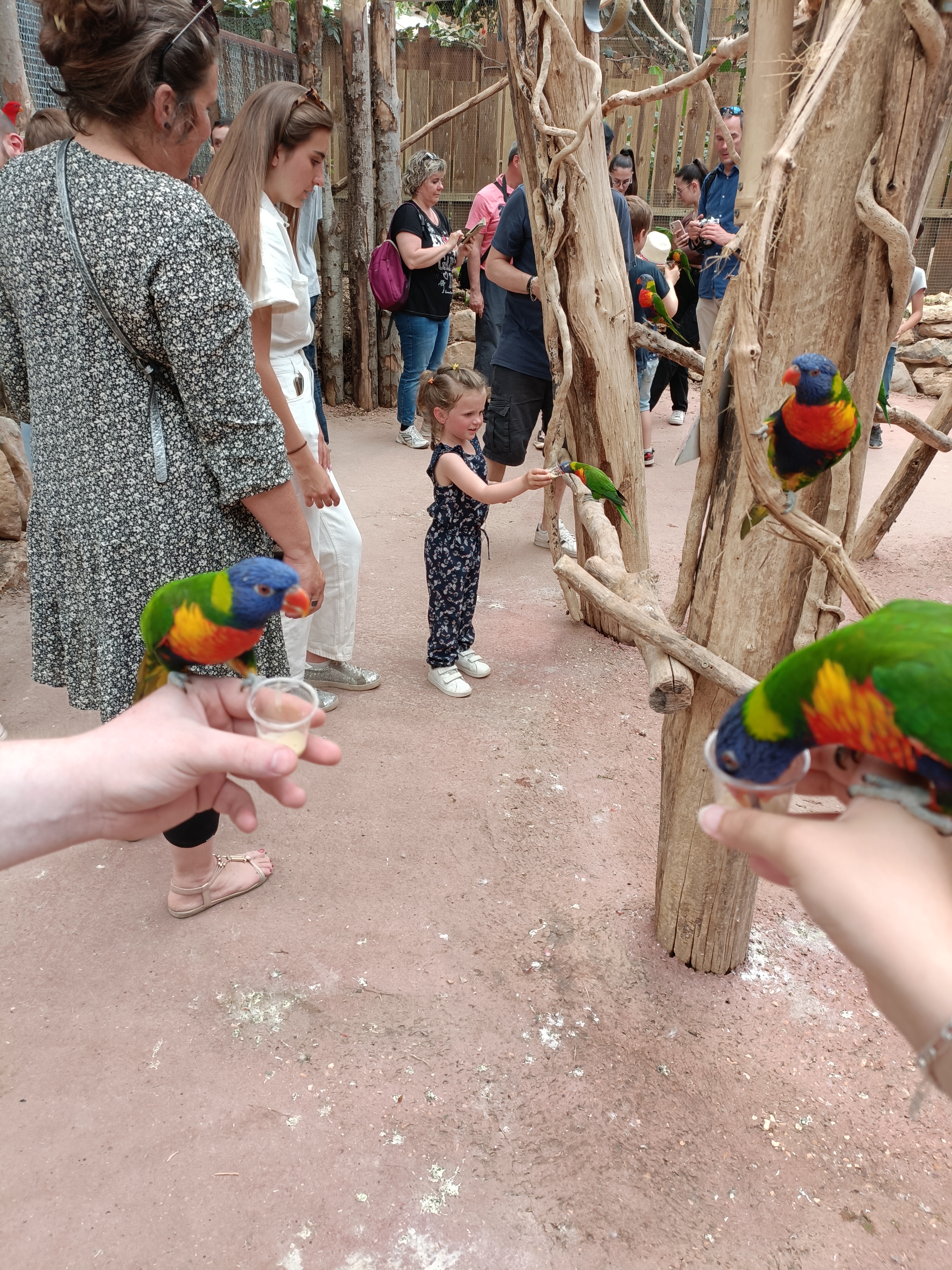 Photo n° 4 de l'avis de LeFou. fait le 15/06/2023 à 18:07