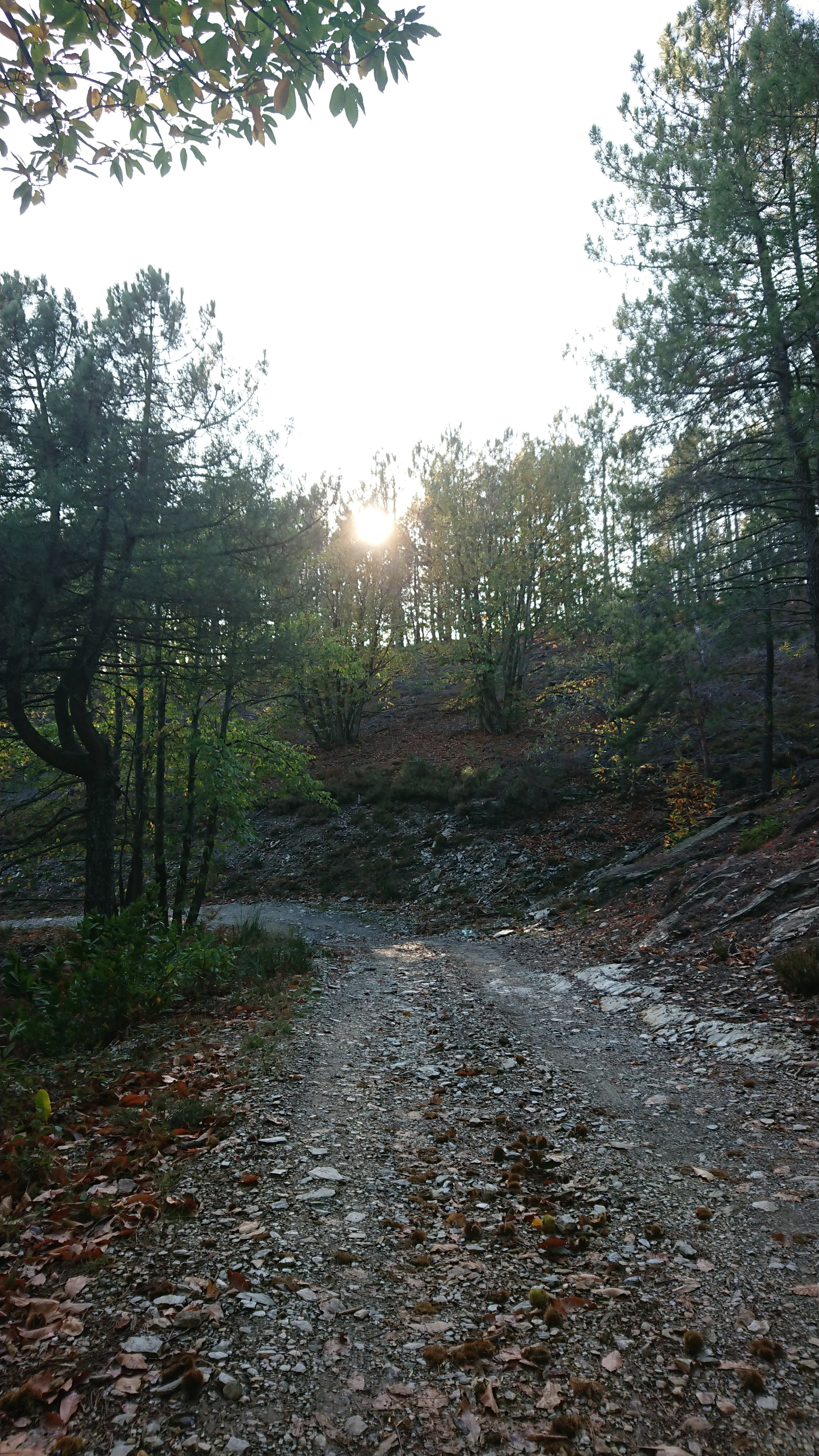 Photo n° 1 de l'avis de Lea.r fait le 29/10/2022 à 11:38