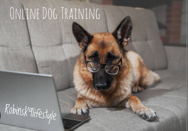 Robins Lifestyle Dog Training & Boarding- RobinsK9Lifestyle.com