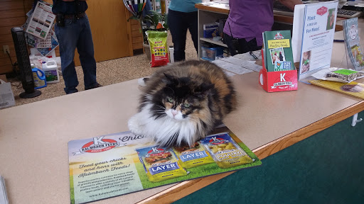 Pet Supply Store «Copley Feed & Supply Co», reviews and photos, 1468 S Cleveland Massillon Rd, Copley, OH 44321, USA