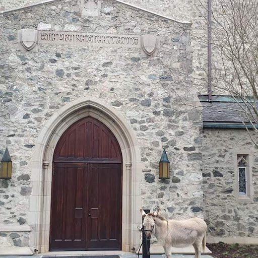 Pony Ride Service «Animals Unlimited LLC est 1996 travelling petting zoo/pony rides/travelling exotic animal programs .», reviews and photos, 16805 Mountain Rd, Montpelier, VA 23192, USA