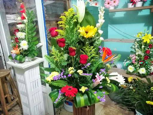 Floreria la orquídea