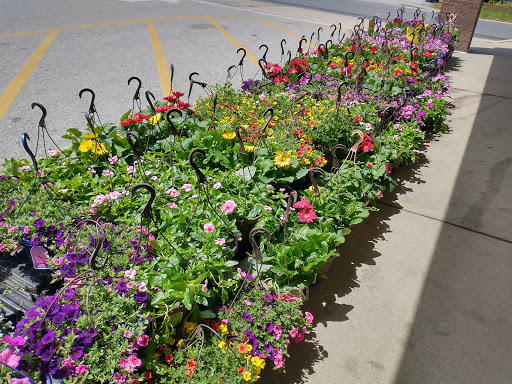 Grocery Store «Food Lion», reviews and photos, 410 Sandy Spring Rd, Laurel, MD 20707, USA