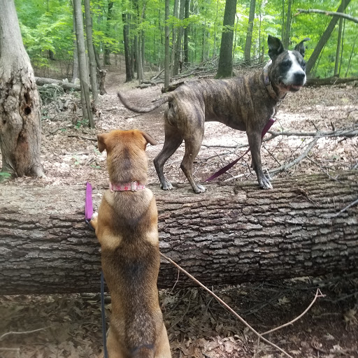 Park «Winding Hills Park», reviews and photos, 2 Old Rte 17K, Montgomery, NY 12549, USA