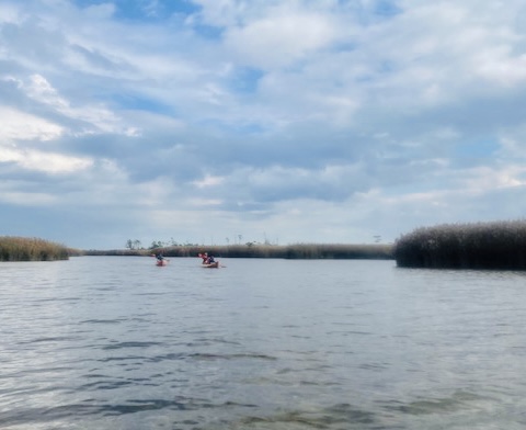 Bicycle Rental Service «Ocean Rentals Ltd.», reviews and photos, 577 Sandbridge Rd, Virginia Beach, VA 23456, USA