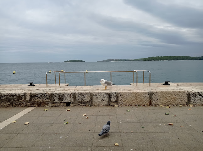 Broj telefona Kcentar Rovinj