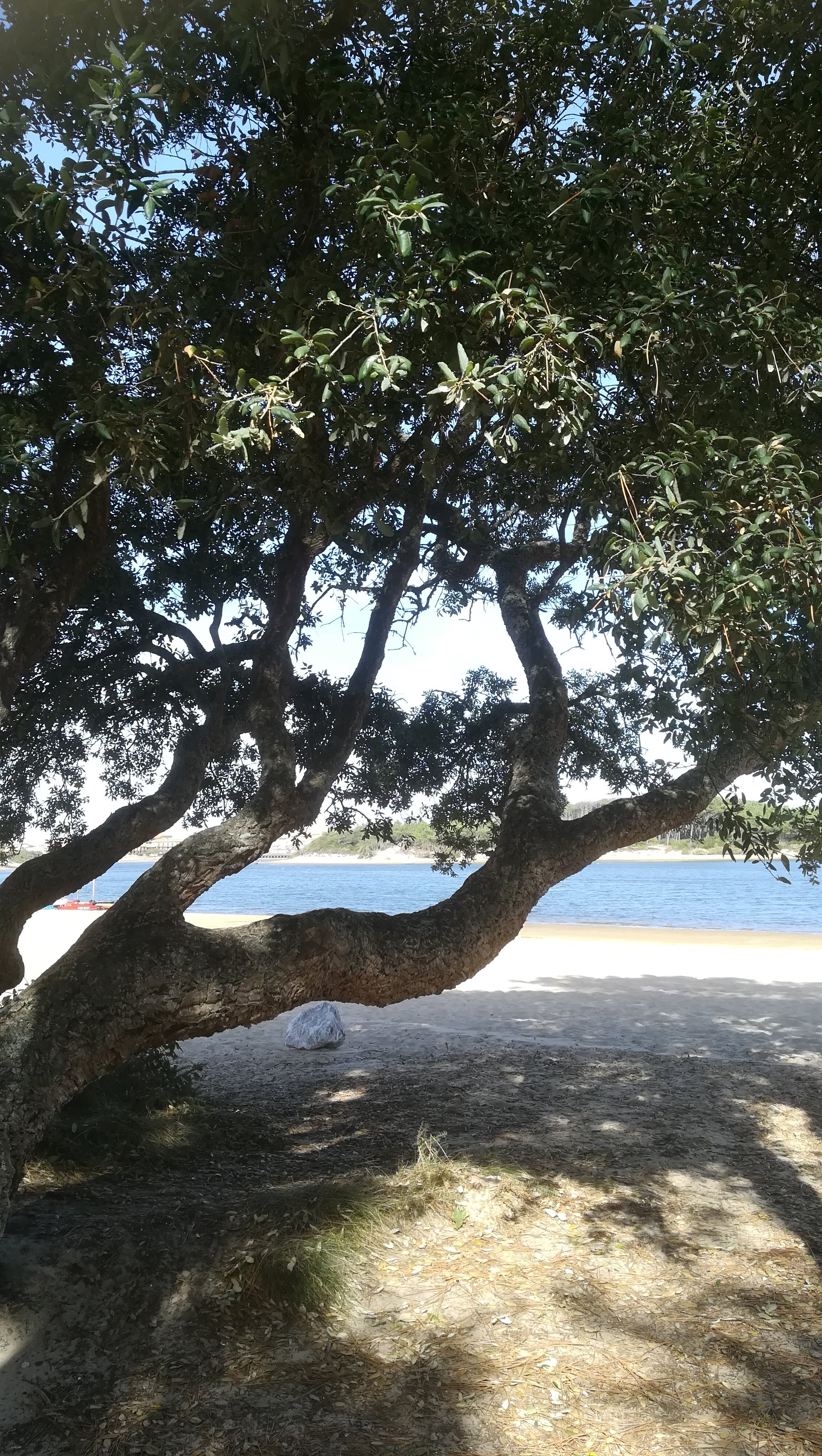 Photo n° 3 de l'avis de NOUNOU.7 fait le 21/10/2018 à 06:31