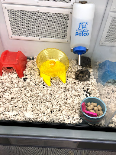 Pet Supply Store «Petco Animal Supplies», reviews and photos, 1255 Raritan Rd #140, Clark, NJ 07066, USA