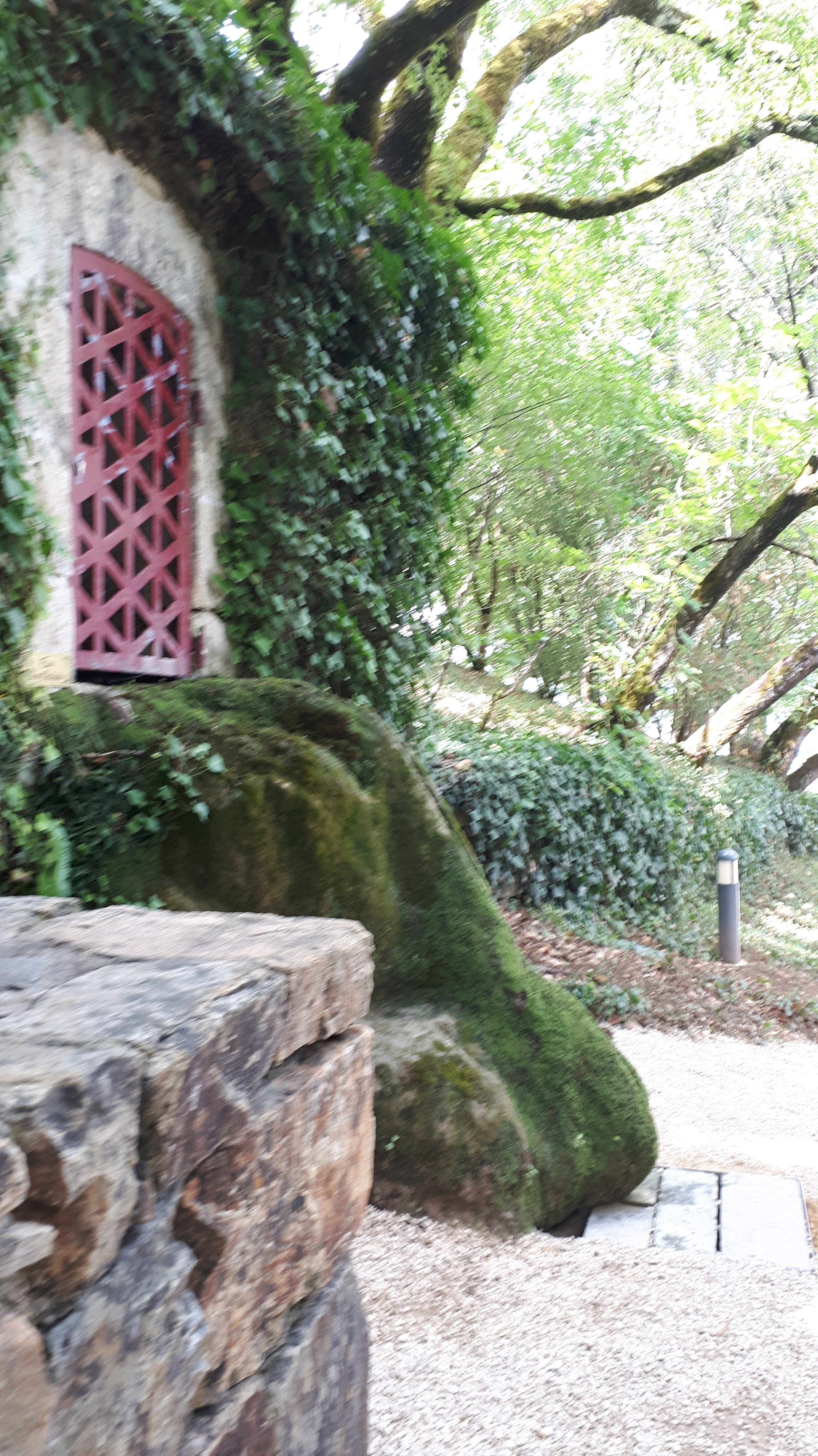 Photo n° 48 de l'avis de Cécile.i fait le 22/08/2020 à 17:28