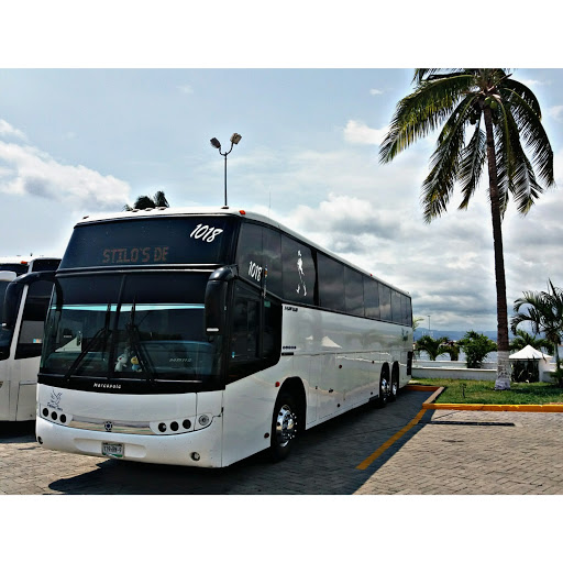 Renta De Autobuses Turismo Paloma
