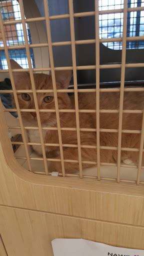 Pet Supply Store «Petco Animal Supplies», reviews and photos, 1400f 75th St, Downers Grove, IL 60516, USA