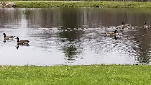 Outdoor Sports Store «Maple Hill Disc Golf», reviews and photos, 132 Marshall St, Leicester, MA 01524, USA