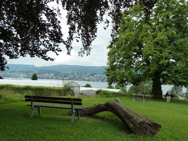 Schweizerisches Epilepsie-Zentrum - Zürich