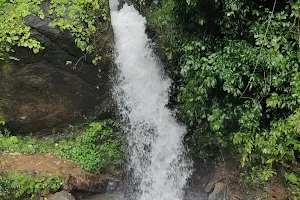 Mavinagundi Falls image