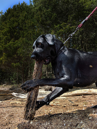 Campground «Defeated Creek Campground», reviews and photos, 140 Marina Ln, Defeated, TN 37030, USA