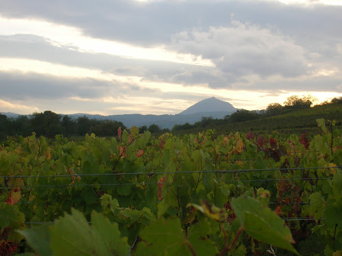 Domaine Tourlonias à Châteaugay