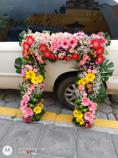 Floreria la india