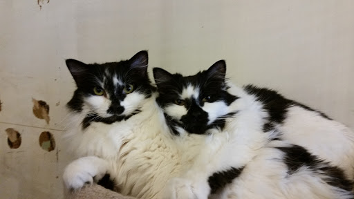 Pet Store «Next to Nature», reviews and photos, 4543 California Ave SW, Seattle, WA 98116, USA