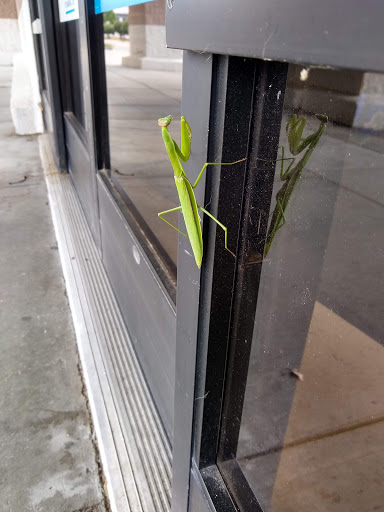 Pet Supply Store «PetSmart», reviews and photos, 1276 Carmia Way, Richmond, VA 23235, USA