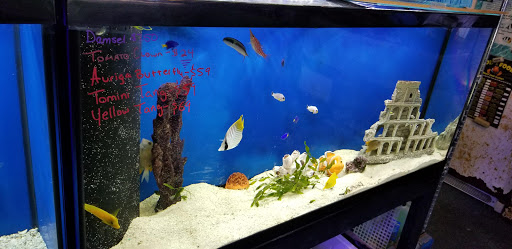 Pet Store «Sea Life Aquarium Services», reviews and photos, 174 Semoran Commerce Pl A101, Apopka, FL 32703, USA