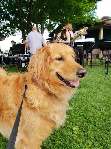 Park «Red Bridge Park», reviews and photos, 697 W Jackson St, Cicero, IN 46034, USA