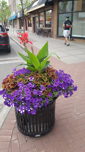 Shoe Store «Peterson Shoes», reviews and photos, 209 E Main St, Anoka, MN 55303, USA