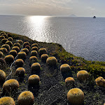 Photo n°1 de l'avis de Sandro.a fait le 16/05/2024 à 11:31 sur le  Therasia Resort Sea & Spa à Vulcanello