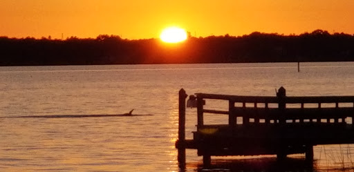 Memorial Park «Veterans Memorial Park», reviews and photos, 250 Shore Dr E, Oldsmar, FL 34677, USA