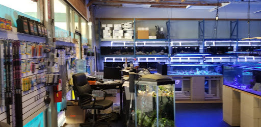 Tropical Fish Store «Shipwreck Cove Custom Aquariums», reviews and photos, 215 S El Camino Real, Encinitas, CA 92024, USA