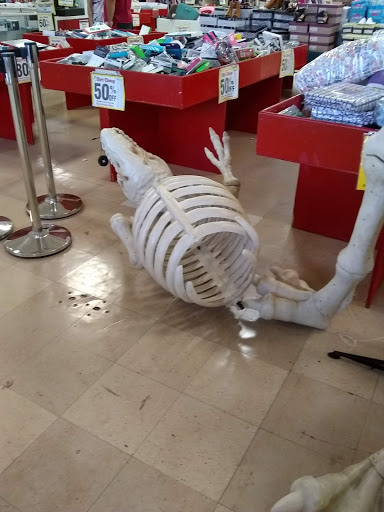 Discount Store «Dirt Cheap», reviews and photos, 1800 Mooresville Hwy, Lewisburg, TN 37091, USA