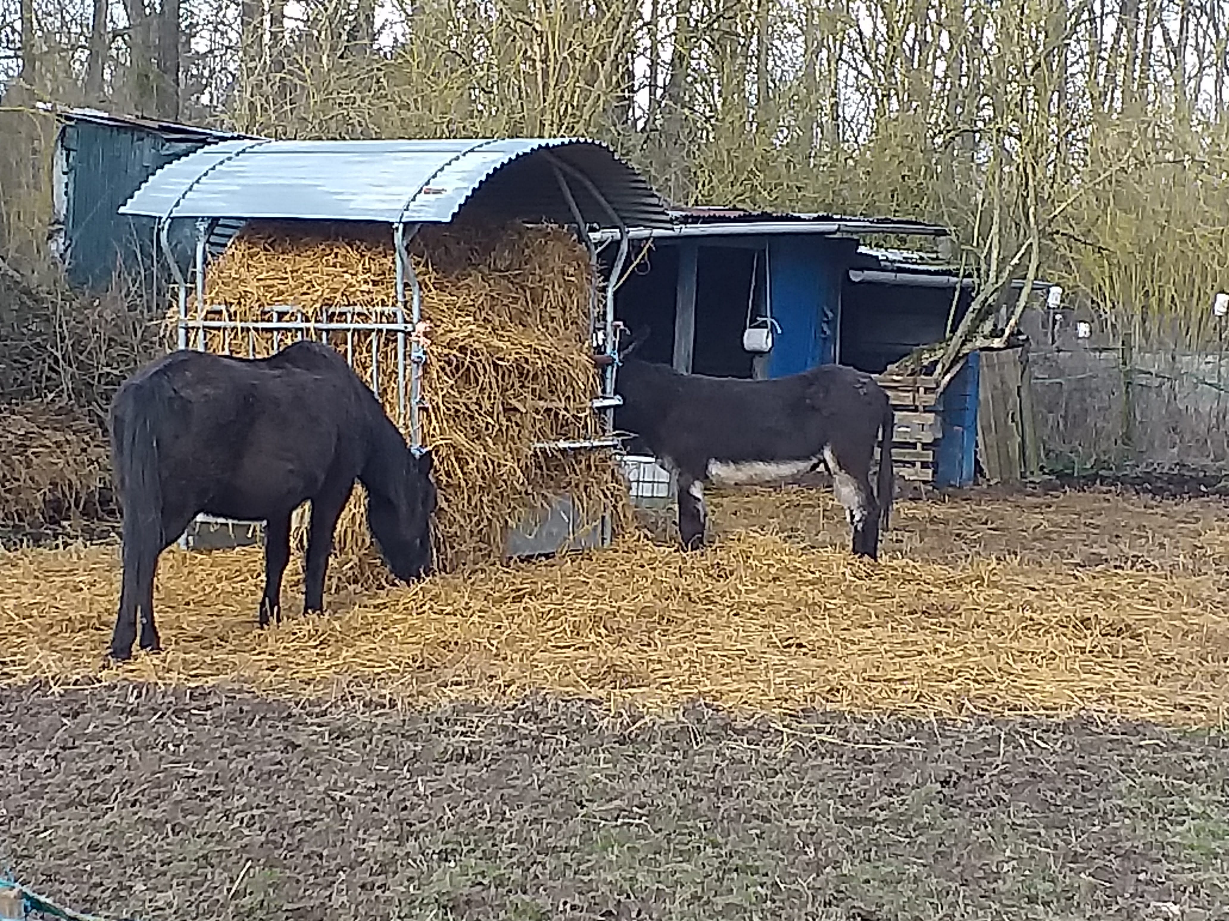Photo n° 6 de l'avis de Marie.b fait le 15/02/2022 à 15:56