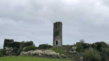 Roofers in Blarney, Ireland